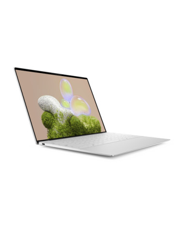 DELL XPS 13 9350 Copilot+ PC Intel Core Ultra 7 258V Computer portatile 34 cm (13.4") Full HD+ 32 GB LPDDR5x-SDRAM 512 GB SSD Wi