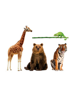 Baby Animali da record 2
