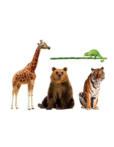 Baby Animali da record