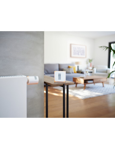 Netatmo Kit Termostato intelligente + 3 Valvole Termostatiche Intelligenti Aggiuntivi per Termosifoni