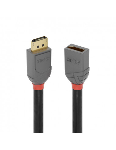 Lindy 36498 cavo DisplayPort 3 m Nero