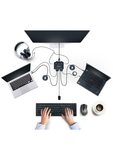 StarTech.com C2-D46-UC2-CBL-KVM switch per keyboard-video-mouse (kvm) Nero