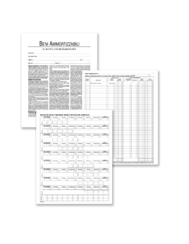 CF2REGISTRO BENI AMMORTIZZ 97 PAG