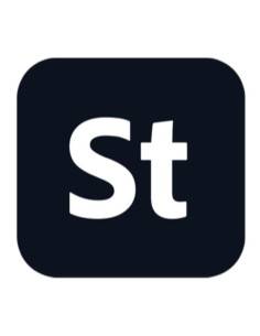 STOCKTEAMS LARGE ML SUB R 2