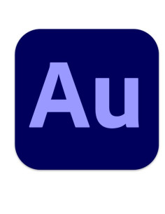 AUDITION PRO TEAM ML SUB R 2