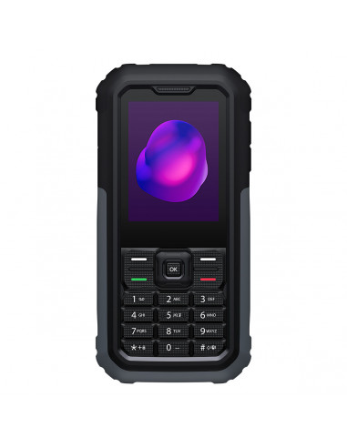 TCL 3189 6,1 cm (2.4") Nero, Grigio Telefono con fotocamera