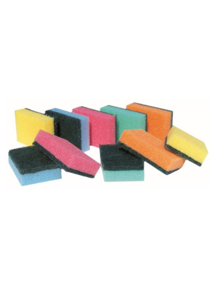 CF10 SPUGNE ABRASIVE COLORATE