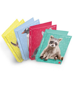 CF5 RACCOGLITORI AD ANELLI A4 27X32 2