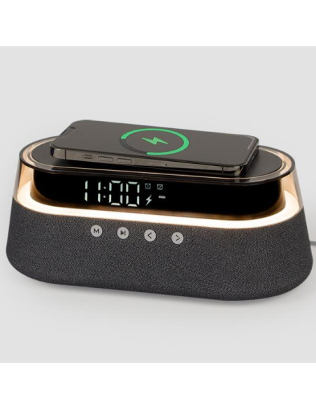 CASSA BLUETOOTH LAMPADA RGB 15W GRA
