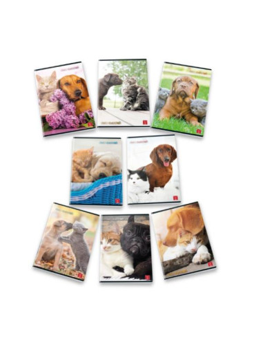 CF10 QUADERNI  CUCCIOLI  4F A4 80G