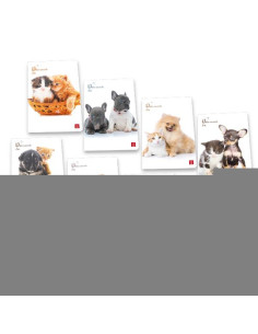 CF10 QUA 20FG DOLCI CUCC A4 80G ASS