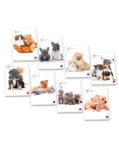 CF10 QUA 20FG DOLCI CUCC A4 80G ASS 2