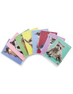 CF10 MAXI D.CUCCIOLI 42FF 0A F.TOA4 2