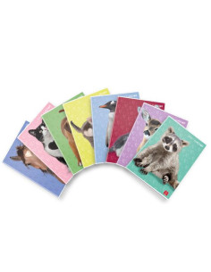 CF10 MAXI D.CUCCIOLI 42FF 1R F.TOA4 2