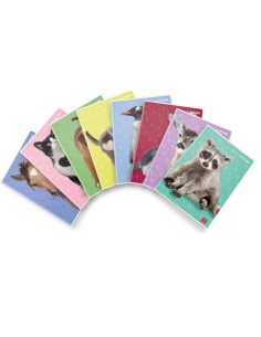 CF10 MAXI D.CUCCIOLI 42FF 0Q F.TOA4