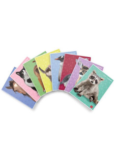 CF10 MAXI D.CUCCIOLI 42FF 4M F.TOA4 2