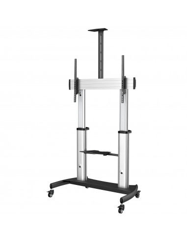 StarTech.com Mobile TV Stand girevole su ruote - Carrello porta TV resistente per schermi da 60-100" (100kg) - Supporto tv da pa