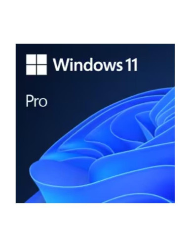WIN11 PRO N UPGRADE