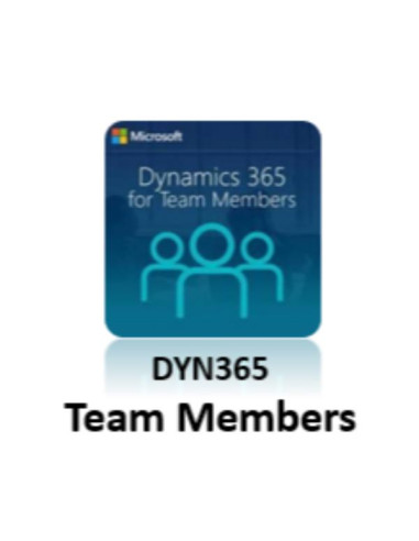 DYNAMICS 365 TEAM MEMBERS