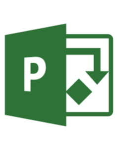PROJECT ONLINE ESSENTIALS