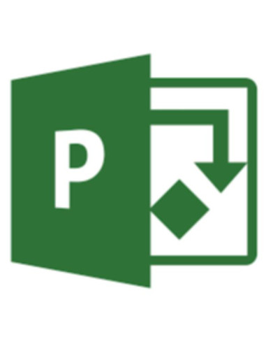 PROJECT ONLINE ESSENTIALS