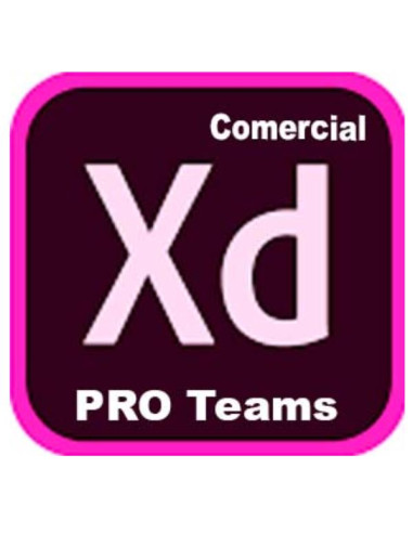 XD PRO TEAMS ML NEW GOV