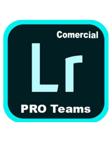 LIGHTR PRO TEAMS ML NEW GOV