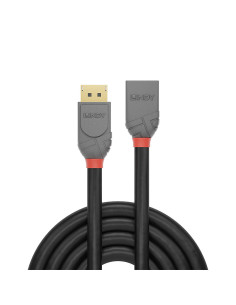 Lindy 36498 cavo DisplayPort 3 m Nero 2