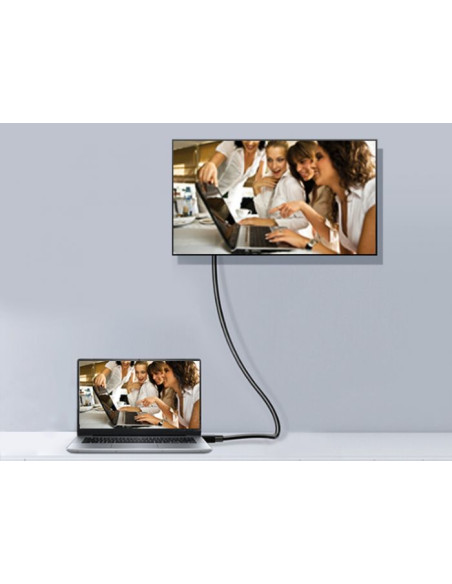 Equip 119251 Cavo DisplayPort 1.4, 1,0 m, 8K/60Hz