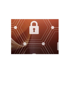 CYB ATTK SIM 4RUN ANNUAL MAX 1350IP 2