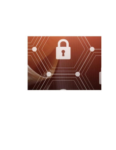 INTERNET PENT TEST BLACK BOX 25 IP