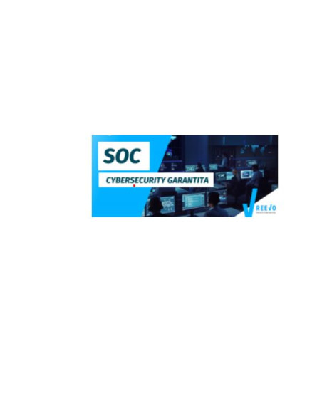 CYBSEC FL MNGD SOCH24 END D R 100DV