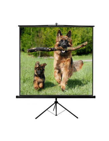 TP NEW JUNIOR 200X200