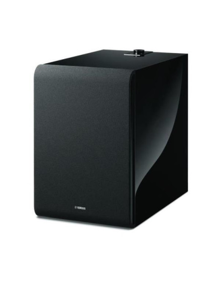 MUSICCAST SUB 100