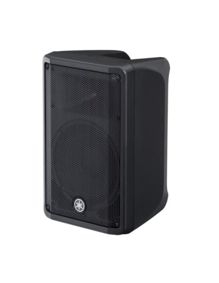 CASSA AMPLIFICATA 1X10 700W