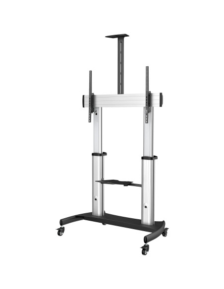 StarTech.com Mobile TV Stand girevole su ruote - Carrello porta TV resistente per schermi da 60-100" (100kg) - Supporto tv da pa