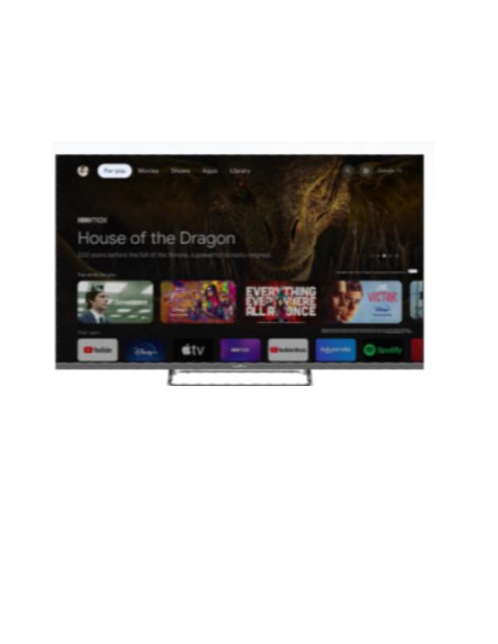 55 4K GOOGLE  TV TIVUSAT