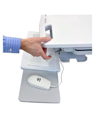 STYLEVIEW CART WITH LCD PIVOT, SV40