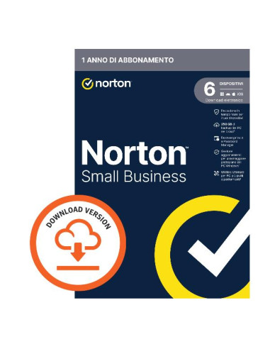 NSB-250GB 6 DEV 12M ESD