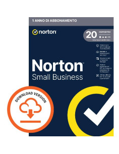 NSB 2.0 250GB 20 DEV 12M ESD