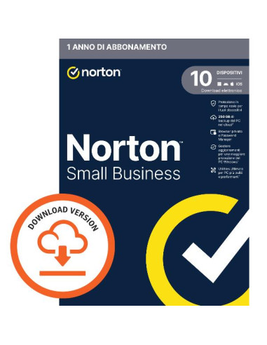 NSB 2.0 250GB 10 DEV 12M ESD