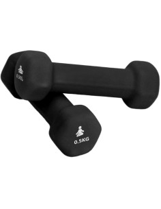 FITPADDY DUMBBELL 0.5 KG 2 PCS