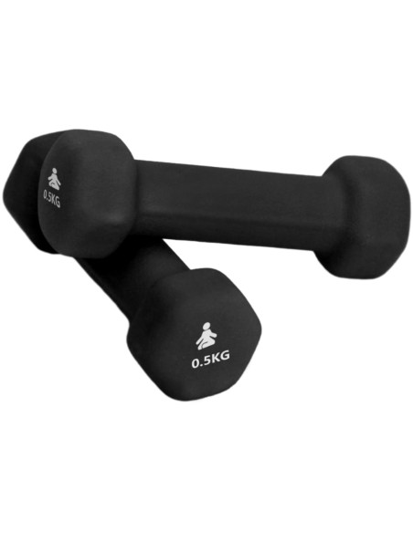 FITPADDY DUMBBELL 0.5 KG 2 PCS