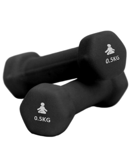 FITPADDY DUMBBELL 0.5 KG 2 PCS