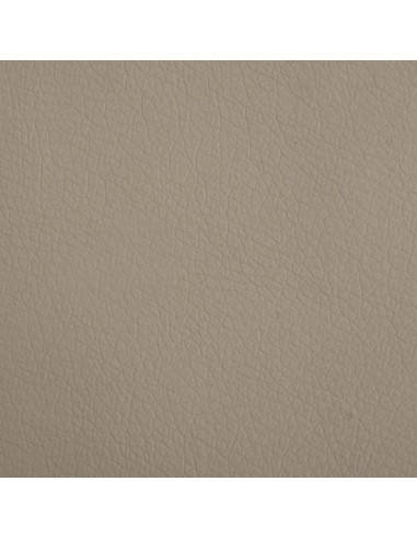 Lettino per Cani Cappuccino 90x53x30 cm in Similpelle