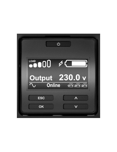 APC Smart-UPS On-Line SRT gruppo di continuità (UPS) Doppia conversione (online) 3 kVA 2700 W