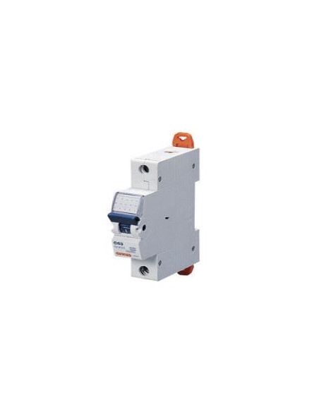 INT.MAGNETOTERMICO 1P C32 6KA 1M