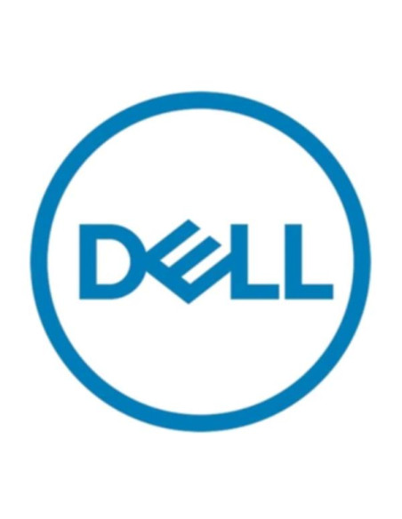DELL 161-BCHF disco rigido interno 2,4 TB 10000 Giri/min 2.5" SAS