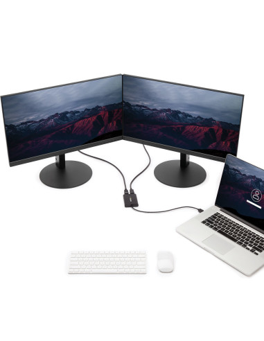 StarTech.com Adattatore USB a due DisplayPort - 4K 60 Hz - USB 3.0 (5 Gbps)