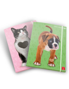 CARTELLE A 3 LEMBI A4 DORSO 1,3 CM